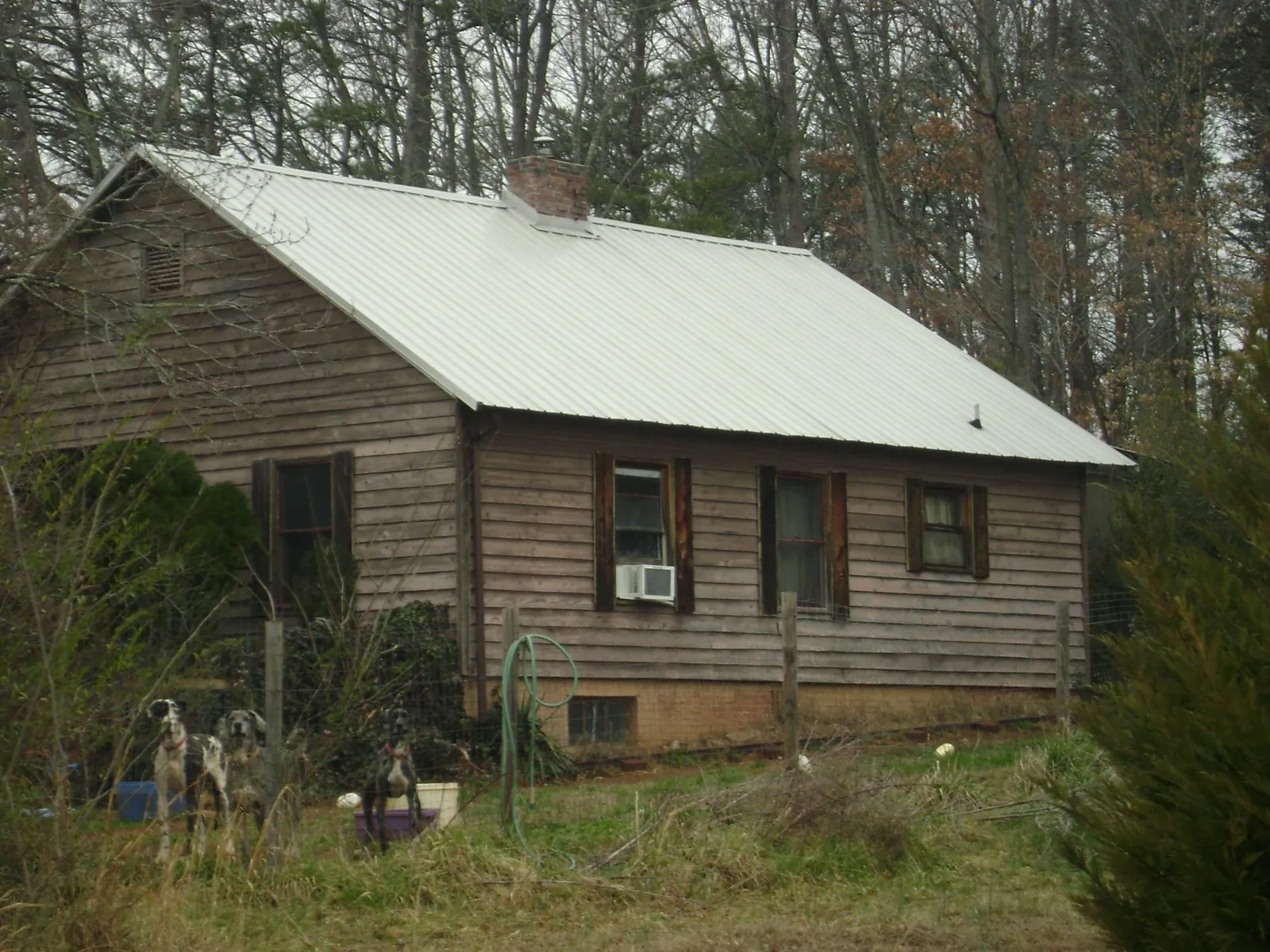 White metal roof on an old wood sided farmhouse, from a Asphalt Shingle Roof Repair job in Lena